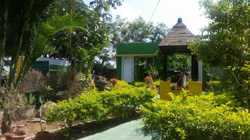 Sunshine Guest House India Tiruvannāmalai Esterno foto